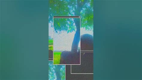xhxxyd xbhxx (@xhxxyd.